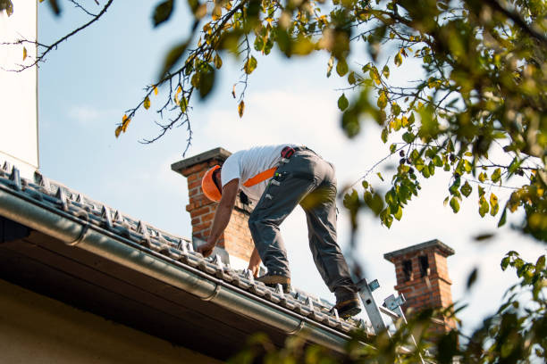 Best Roof Gutter Cleaning  in Copperton, UT